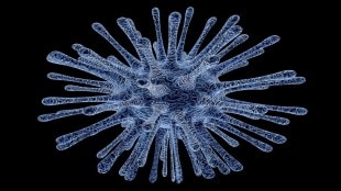 Zoonotic diseases, human animal interaction, zoonoses, monkeypox, covid, covid 19, health news, healthcare news,
