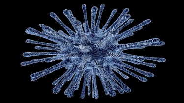 Zoonotic diseases, human animal interaction, zoonoses, monkeypox, covid, covid 19, health news, healthcare news,