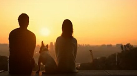 The campaign focused on how animals are also a part of society as any human and must be treated fairly and kindly.