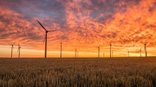 Green energy, clean energy, India, solar power, wind energy