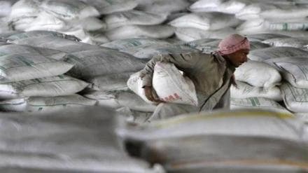 cement companies, cement companies outlook, cement companies growth,