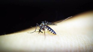 Malaria booster vaccine, Malaria booster vaccine efficacy, Lancet Infectious Diseases journal
