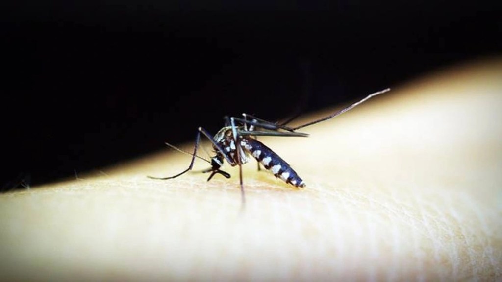 Malaria booster vaccine, Malaria booster vaccine efficacy, Lancet Infectious Diseases journal