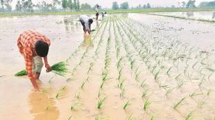 Area under paddy in West Bengal, the largest rice-producing state, was down by 9% on year on Friday while four weeks ago the deficit was 31%.
