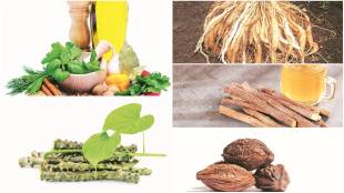 ayurveda, ayush, traditional medicine in india,