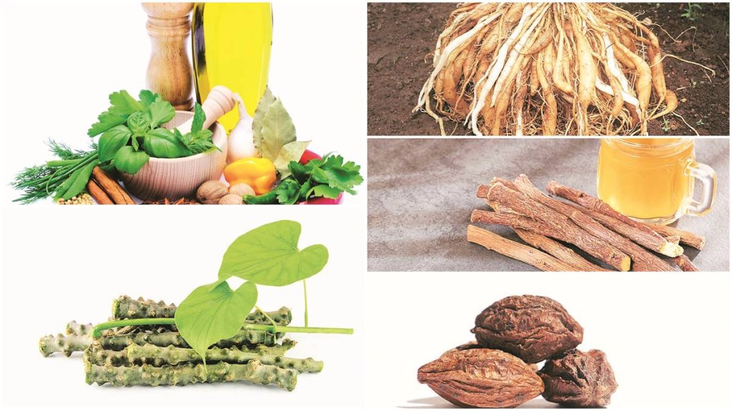 ayurveda, ayush, traditional medicine in india,