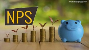 NPS, pfrda, NPS investment