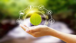 The answer is yes and no. While environmental activities are part of all economic sectors, we still need to categorise the environment as a separate economic sector for innovation and growth. (Representative image)