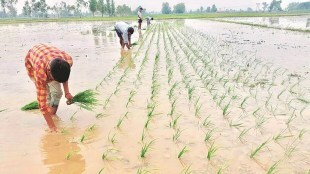 According to the IMD, the cumulative monsoon rainfall received in all the four regions during the four-month season was 925 mm.