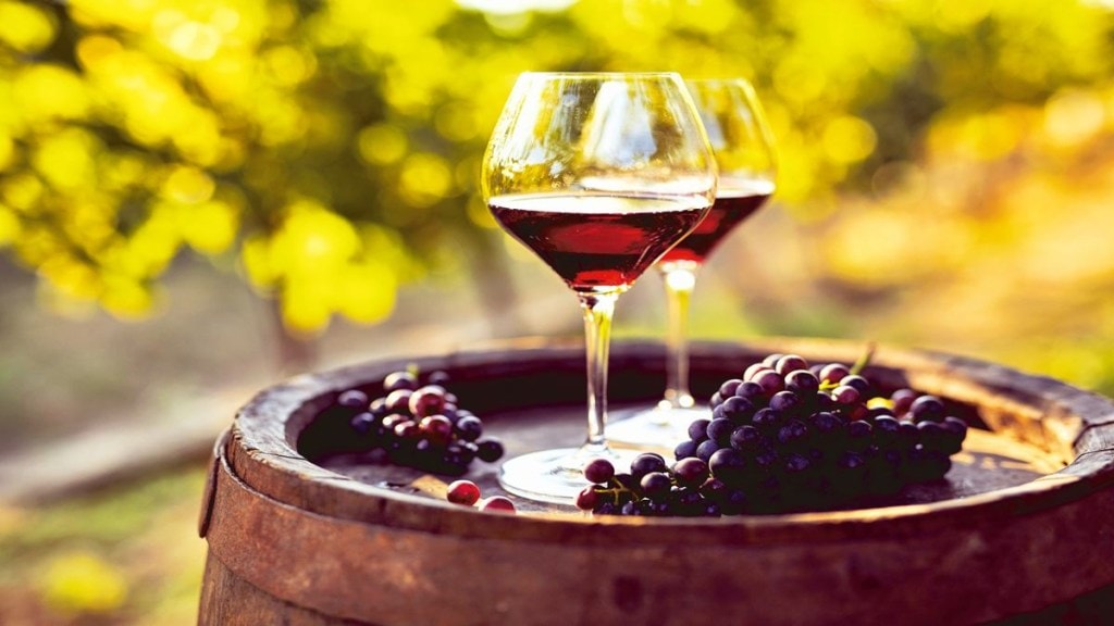 Wines, wine tasting, wine industry, liquid asset, Hedonova, California Napa Valley wines, Chilean white wines