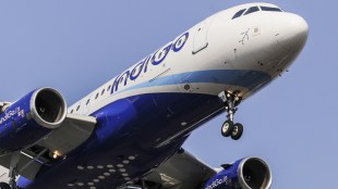 stake, airlines, shares, resignation, board of director, aviation, transaction, low-cost carrier