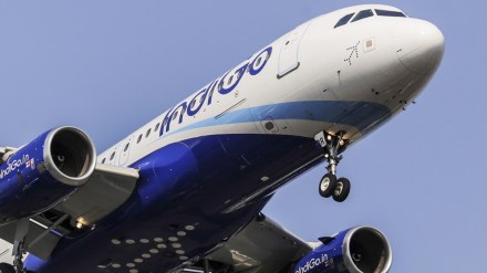 stake, airlines, shares, resignation, board of director, aviation, transaction, low-cost carrier