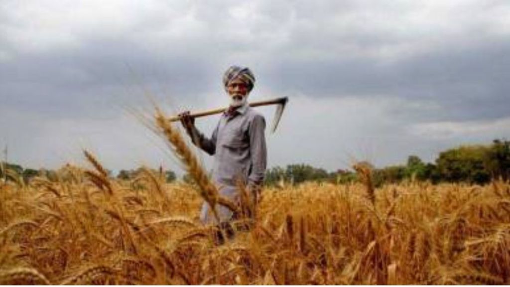 Agriculture