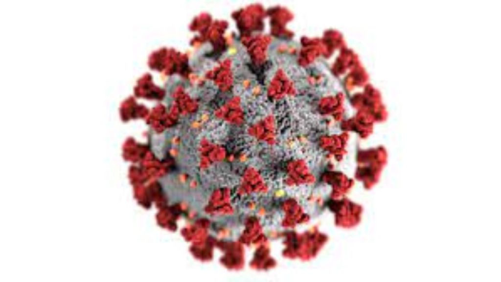 Antiviral therapies, COVID-19 transmission, covid research, health news, covid news,