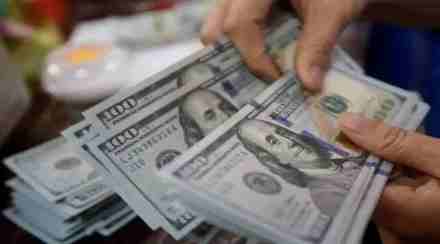 pumped a net Rs 12,084 crore into Indian equities during September 1-16