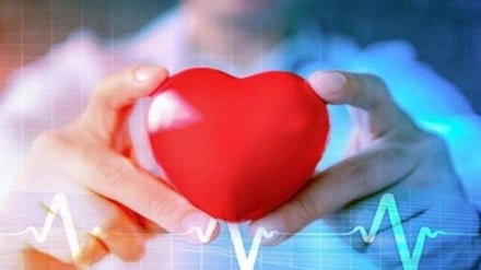 Tips to prevent heart ailments as per the ancient Ayurveda system Tips to prevent heart ailments as per the ancient Ayurveda system