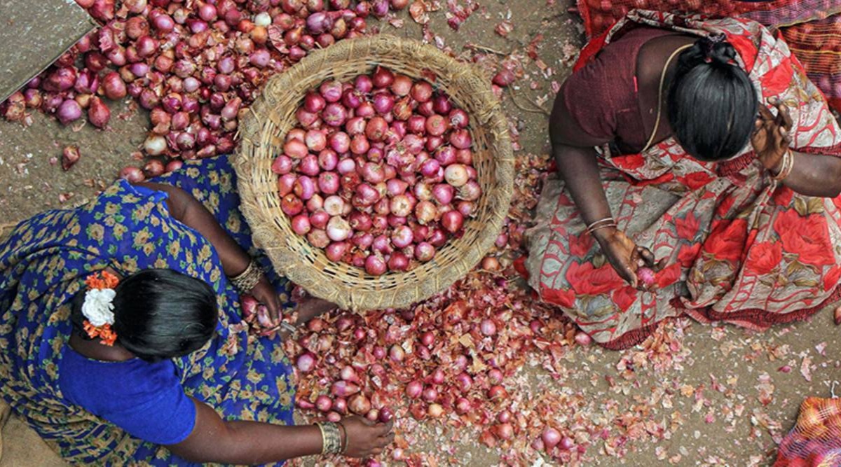 Onion, Onion buffer stock, onion market, onions, vegetable prices