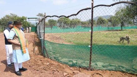PM Modi at Kuno National Park (Photo: ANI) PM Modi at Kuno National Park (Photo: ANI)