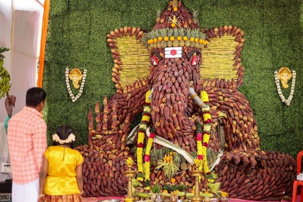An idol of Lord Ganesh prepared using banana flowers being displayed at a pandal, on the occasion of Ganesh Chaturthi, in Chennai. (PTI Photo)