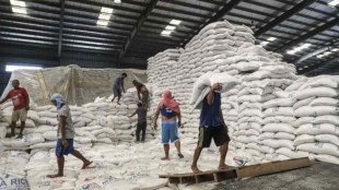 India, economy, economy news, Indian economy, rice export, rice export news, rice export duty