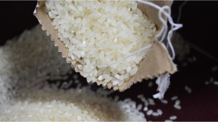 Rice, rice price, Kharif crops, rice export, India rice export