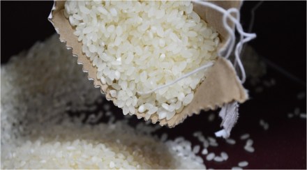 Rice, rice price, Kharif crops, rice export, India rice export