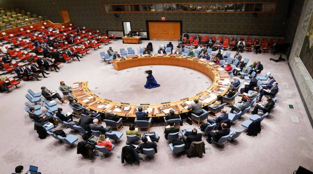 UN security council reforms