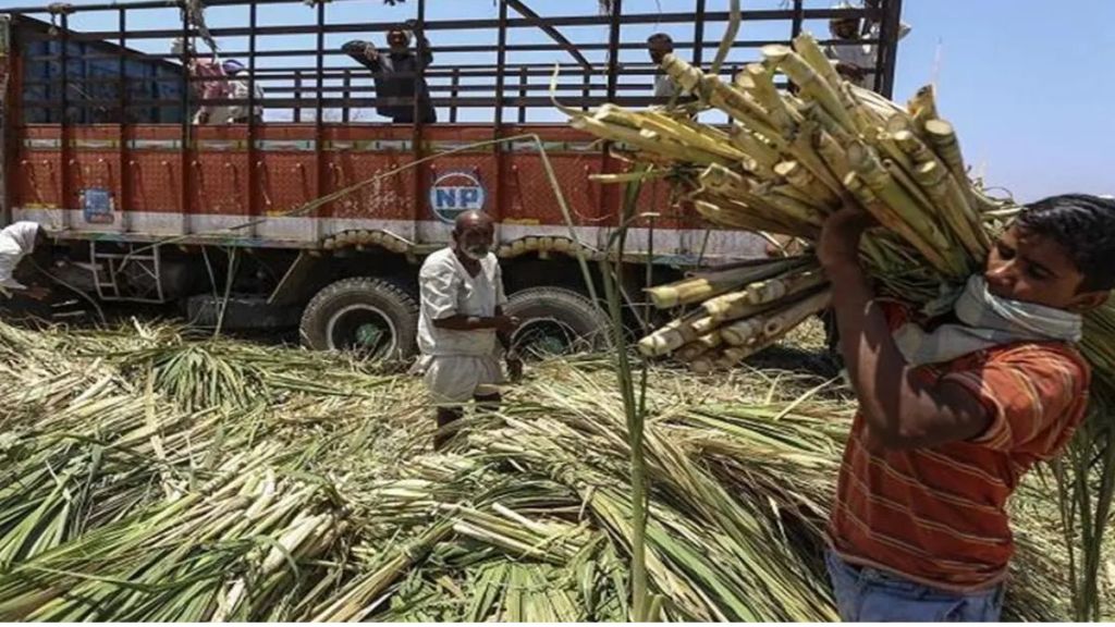 sugar mills news, up sugar news, sugar msp news today,