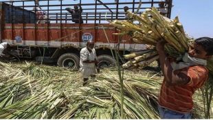 sugar mills news, up sugar news, sugar msp news today,