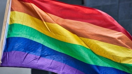 The app has over 45 gender identities, over 122 orientation tags and over 48 pronouns have been included in the app. The app has over 45 gender identities, over 122 orientation tags and over 48 pronouns have been included in the app.