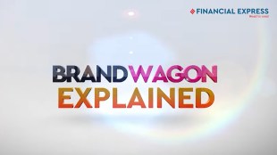 brandwagon explained