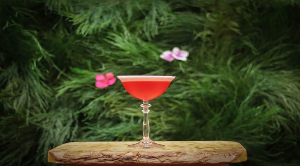 alcohol, campari, best alcohol, best vodka, monday vodka, vodka discount