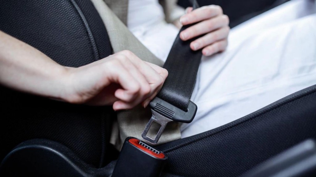 car seat belt Mumbai