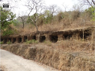 Caves discovered by ASI