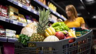 Food, grocery retailers unfazed by quick commerce rush, revenue growth to sustain this fiscal