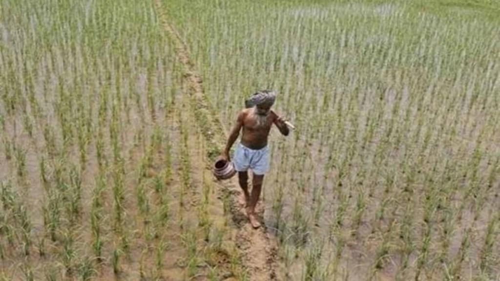 Accordingly, rain-affected farmers will get Rs 3,501 crore, including the contribution from the State Disaster Response Fund (SDRF) and the state government. 