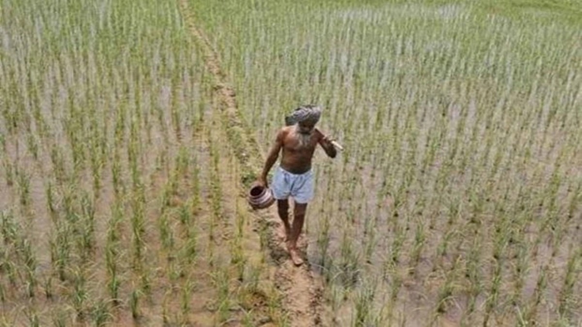 Accordingly, rain-affected farmers will get Rs 3,501 crore, including the contribution from the State Disaster Response Fund (SDRF) and the state government. Accordingly, rain-affected farmers will get Rs 3,501 crore, including the contribution from the State Disaster Response Fund (SDRF) and the state government.