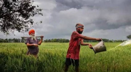 Monsoon, Monsoon in India, Monsoon 2022, Kharif crops, paddy, rice, rain deficit, rainfall, met department, economy news, agriculture news Monsoon, Monsoon in India, Monsoon 2022, Kharif crops, paddy, rice, rain deficit, rainfall, met department, economy news, agriculture news