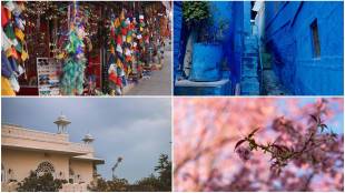 art and music festivals, booking.com, Ziro Festival of Music, Jodhpur RIFF in MehraMagnetic Fields Festival in Alsisar Mahalngarh Fort, The OrangeDharamshala International Film Festival Festival - Dambuk, Indian Photo Festival - Hyderabad