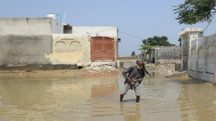 Among those killed by the floods in Pakistan this summer were 552 children and 315 women. (Reuters)