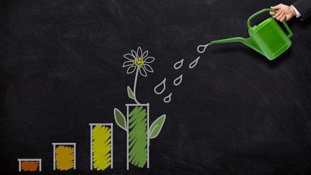 SBI Small Cap fund calculation