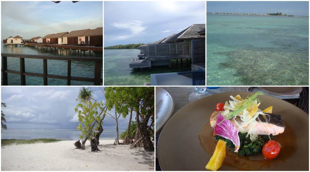 maldives tourism