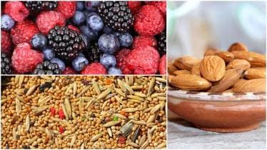 Micronutrients, macronutrients, Fast & up, health news, wellness,