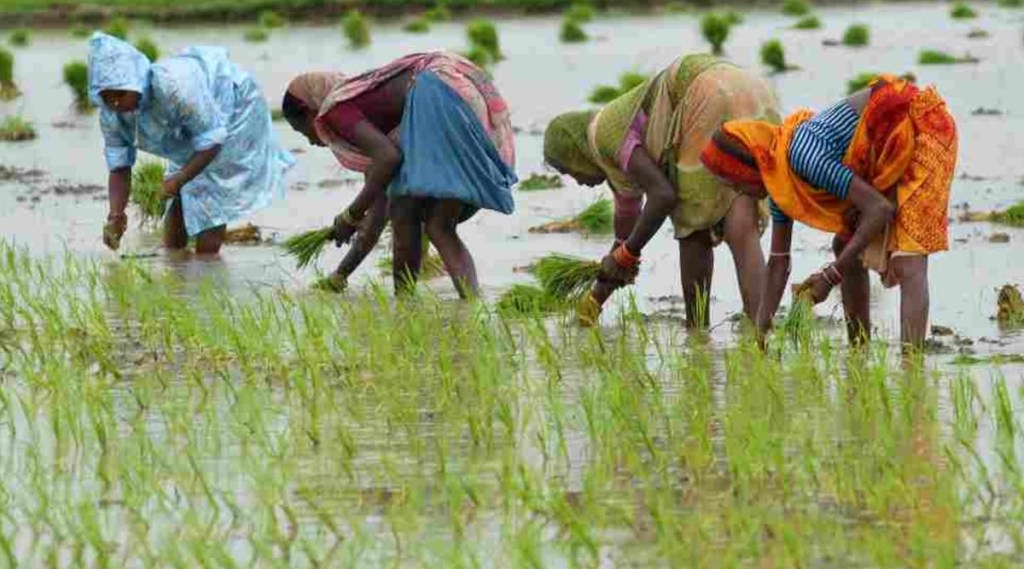Tamil Nadu was the most drenched after receiving 47 percent above normal downpour as of September 29, 2022. 
(Photo Credits: Reuters)
