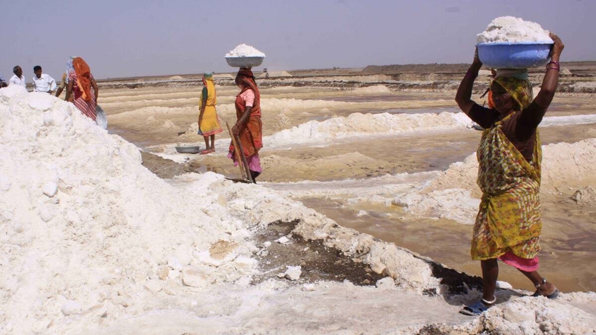 The deficit in the salt production would have a cascading impact on glass, polyester, plastic, chemicals and other important industries. (IE) The deficit in the salt production would have a cascading impact on glass, polyester, plastic, chemicals and other important industries. (IE)