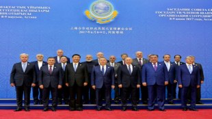 sco members