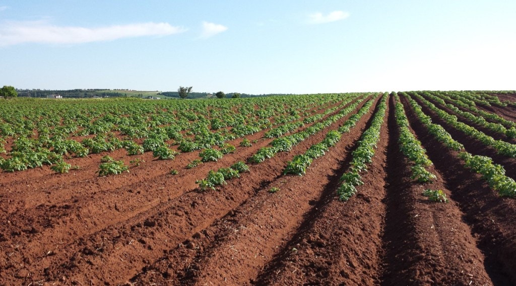 startups, startups in India, farming, farm ecology, soil health, agriculture