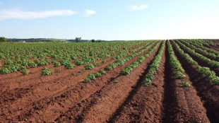 startups, startups in India, farming, farm ecology, soil health, agriculture