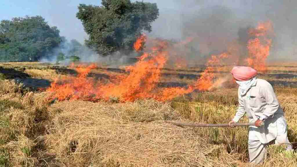 By replacing 20 percent usage of the coal with paddy pellets the state can reduce up to 200 tonnes of coal  By replacing 20 percent usage of the coal with paddy pellets the state can reduce up to 200 tonnes of coal