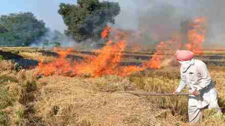 By replacing 20 percent usage of the coal with paddy pellets the state can reduce up to 200 tonnes of coal  By replacing 20 percent usage of the coal with paddy pellets the state can reduce up to 200 tonnes of coal
